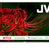 Телевизор JVC LT-50MU508
