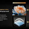 Телевизор Skyworth 75X67H
