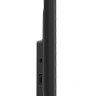 Телевизор TCL 55P615
