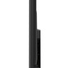 Телевизор TCL 55P615