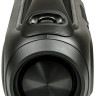 Портативная акустика DIALOG AP-23