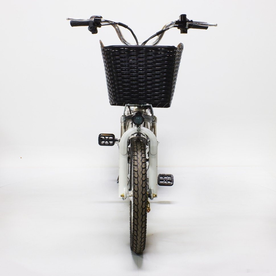 Электровелосипед GreenCamel Транк-18 V2 R18 (250W 60V 20Ah)