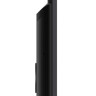 Телевизор TCL 55MQLED87