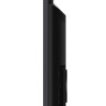 Телевизор TCL 55MQLED87