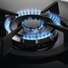 Варочная панель Zanussi GPZ363LK
