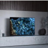 Телевизор Sony Bravia A80L XR-55A80L