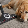 Пылесос Miele Blizzard CX1 Cat & Dog PowerLine SKCF3