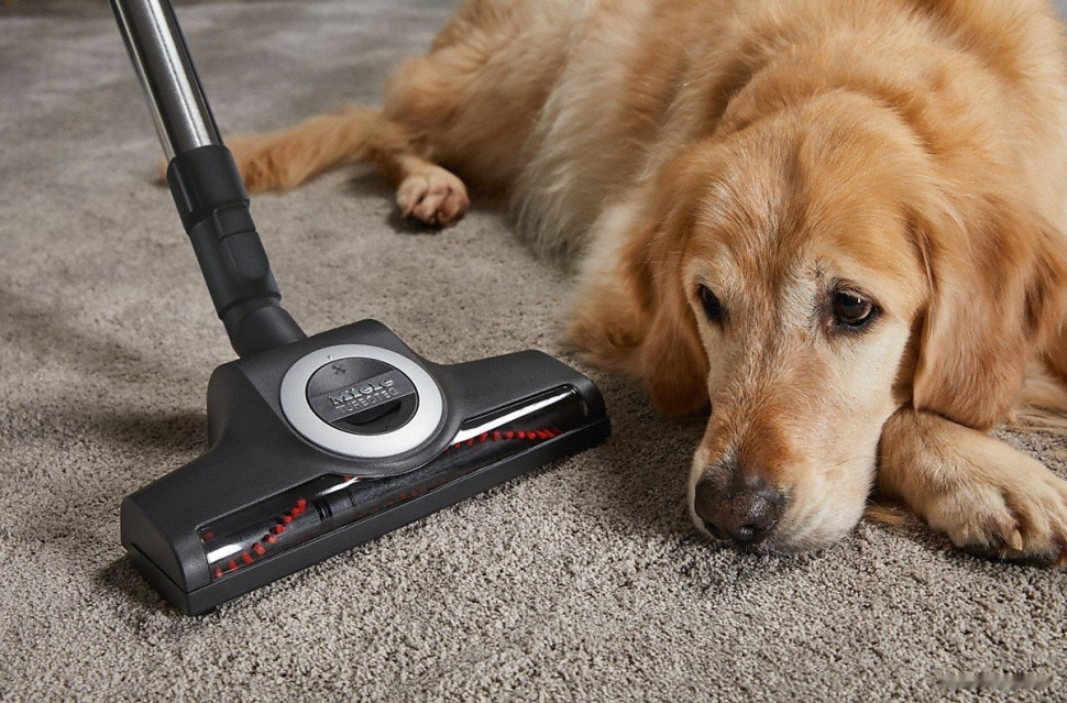 Пылесос Miele Blizzard CX1 Cat & Dog PowerLine SKCF3