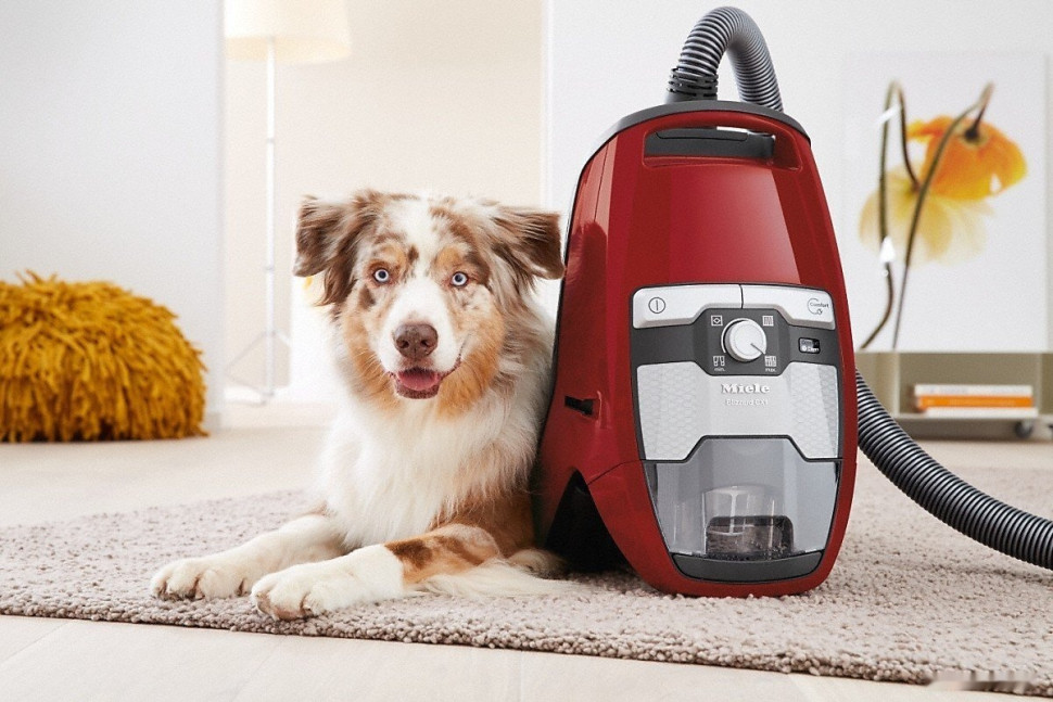 Пылесос Miele Blizzard CX1 Cat & Dog PowerLine SKCF3
