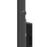 Телевизор Skyworth 75Q67G