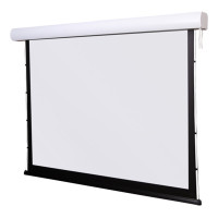 Проекционный экран Digis Prime 246x170 DSTP-16904