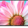 Телевизор SkyLine 55U7510