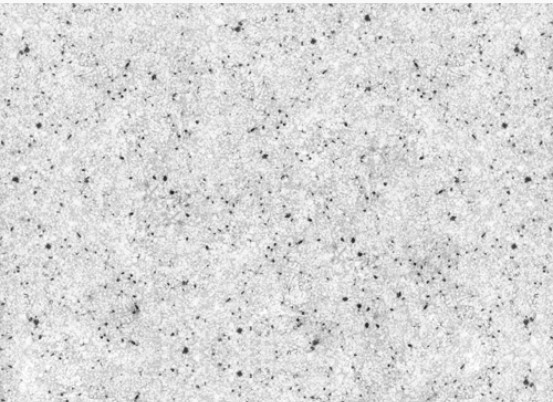 Кухонная мойка GranFest Practic GF-P505 (серый)