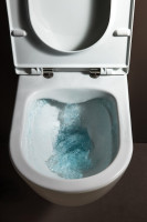 Унитаз Laufen Pro 8209644000001