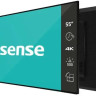 Информационная панель Hisense 55DM66D