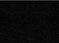 Кухонная мойка GranFest Practic GF-P505 (черный)