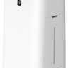 Очиститель/увлажнитель воздуха Sharp KC-G61RW