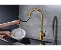 Смеситель Paulmark Iniversal Un213880-BG (золото/брашированное золото)