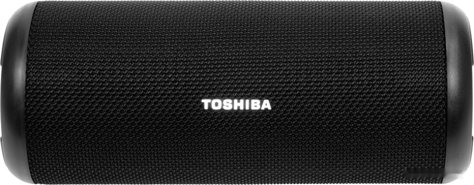Портативная акустика Toshiba TY-WSP201