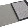 Электронная книга Onyx BOOX Raphael 2