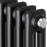 Радиатор Royal Thermo Insignia C2180 - 06 секций RAL9005m