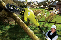 Электрический высоторез Ryobi RPP750S