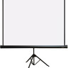 Проекционный экран PL Magna TRM-NTSC-84D