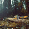 Аккумуляторная пила DeWALT DCM575N-XJ (без АКБ)