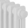 Радиатор Royal Thermo Insignia VC2180 - 08 секций RAL9016