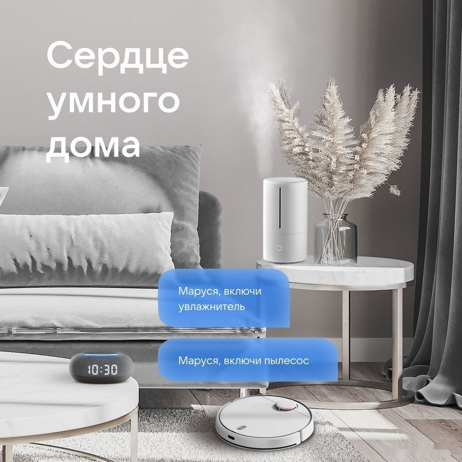 Умная колонка VK Капсула Мини (темно-серый)