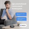 Умная колонка VK Капсула Мини (темно-серый)