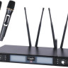 Радиосистема LAudio LS-602