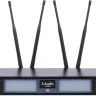 Радиосистема LAudio LS-602