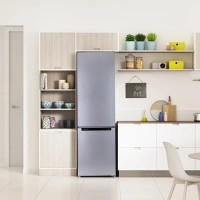 Холодильник с нижней морозильной камерой Indesit DS 4200 S B