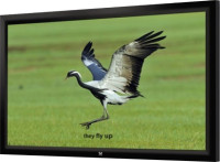 Проекционный экран SeeMax Highland 16:9 305x229