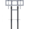Кронштейн Cactus CS-ST31 черный