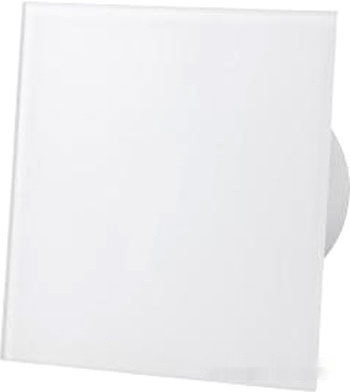 Вытяжная вентиляция AirRoxy dRim 100DTS-C171