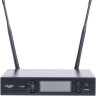 Радиосистема LAudio LS-601