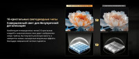 Телевизор Skyworth 55X66H