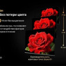 Телевизор Skyworth 55X66H