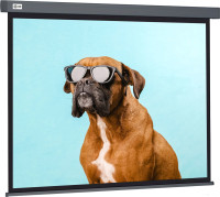 Проекционный экран Cactus Wallscreen 149x265 CS-PSW-149X265-SG