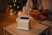 Портативная акустика Bang &amp; Olufsen Beolit 20 (серый)