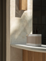 Портативная акустика Bang &amp; Olufsen Beolit 20 (серый)