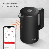 Электрический чайник Redmond SkyKettle KM231S (черный)