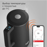 Электрический чайник Redmond SkyKettle KM231S (черный)
