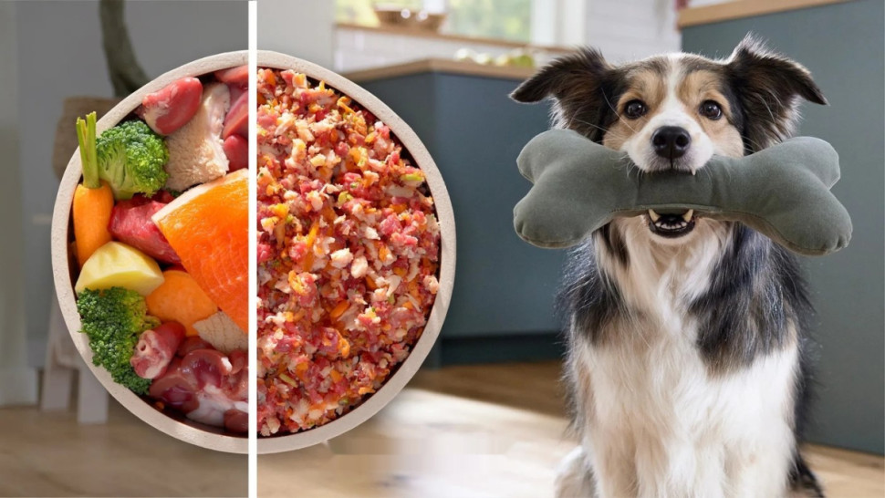 Мясорубка Bosch Serie 6 MFWS609W