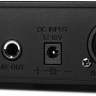 Радиосистема LAudio PRO1-H