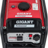 Генератор Gigant Professional GPIGL-3000O