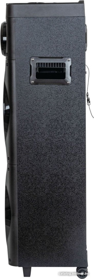 Патибокс AIWA CAS-1001