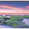 Телевизор Xiaomi TV А2 43 L43M7-EARU / ELA5055GL